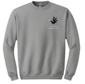 Chelsea Elementary Crewneck (Youth)
