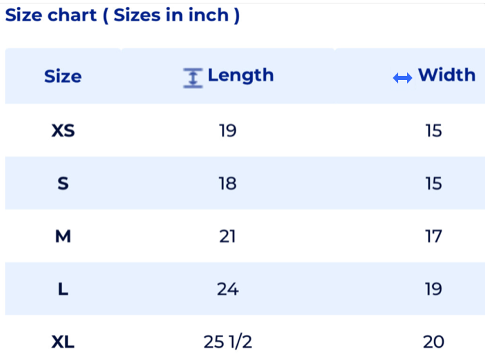 Chelsea Elementary Hoodie (Youth)