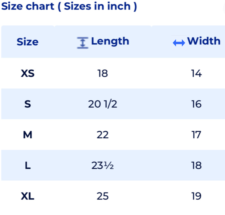 Chargers T-Shirt (Youth)